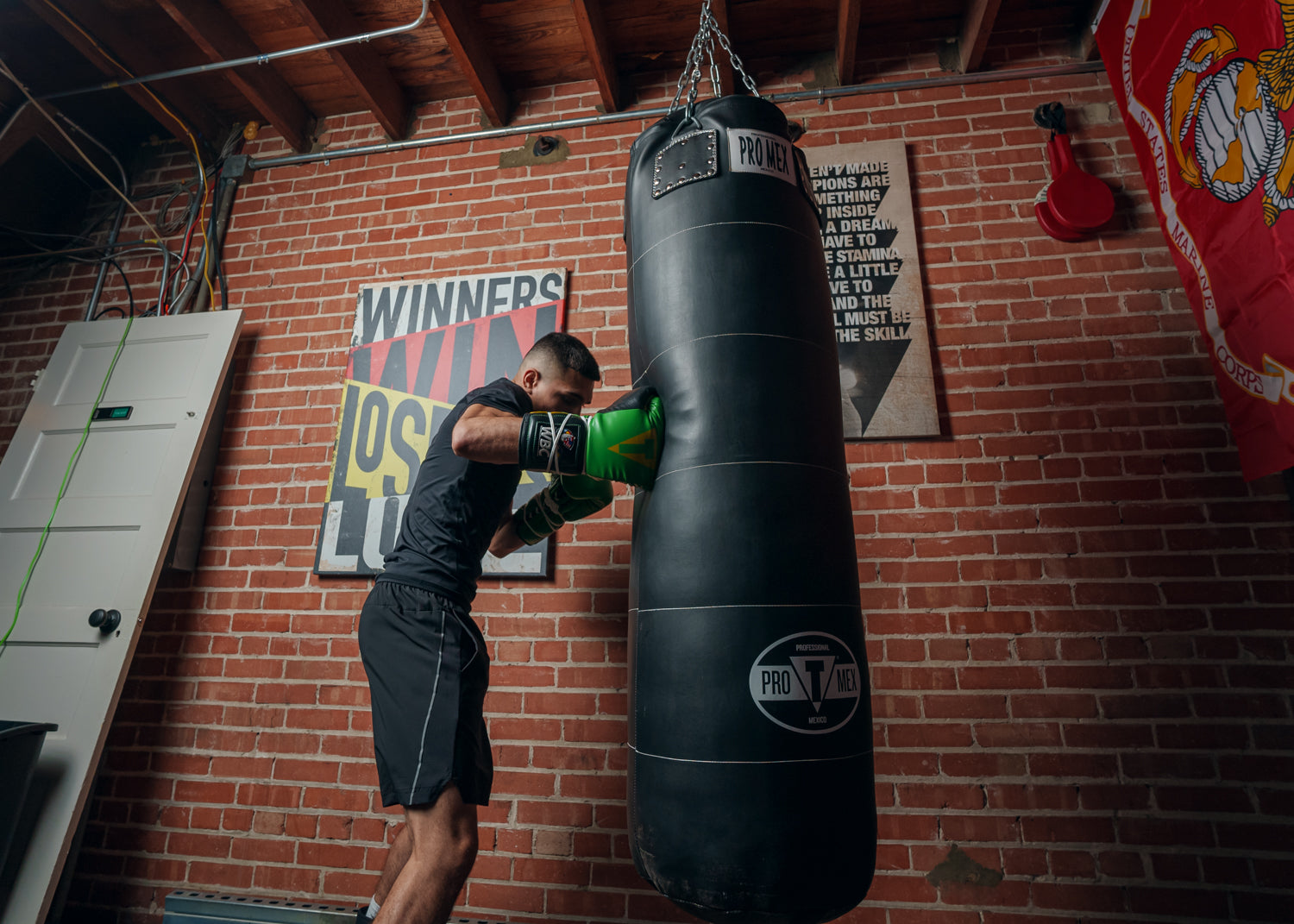 WBC by TITLE Boxing Sparring Gloves - Professional Training Gloves for Boxing, MMA & Kickboxing - Perfect for Gym Workouts & Martial Arts Training