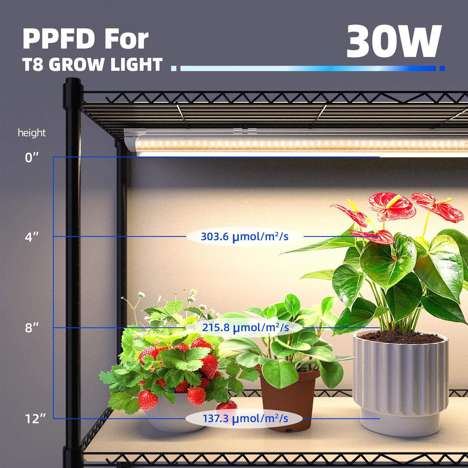 Barrina 3FT T8 Full Spectrum 150W LED Grow Light with Plant Stand - 5 Pack Indoor Plant Shelf for Multiple Plants, On/Off Timer, 6-Tier 35.4
