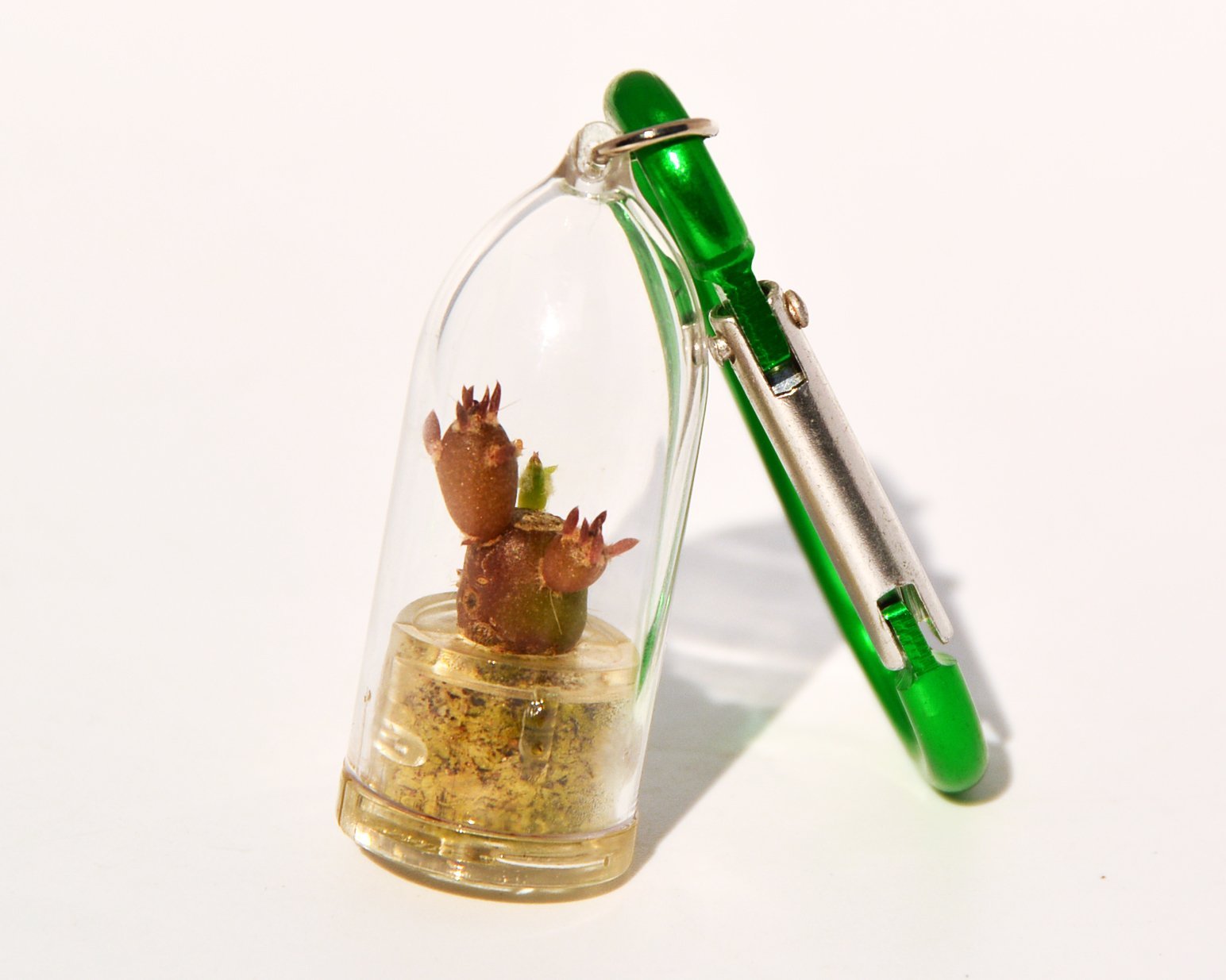 Terrarium Flower Necklace with Live Needle Cactus - Succulent Plant Pendant Keychain for Women, Mini Living Plants Jewelry in Glass Capsule - Unique Boo-Boo Plant Gift with Green Clip | Perfect for Boho Fashion, Nature Lovers & DIY Terrarium Decor