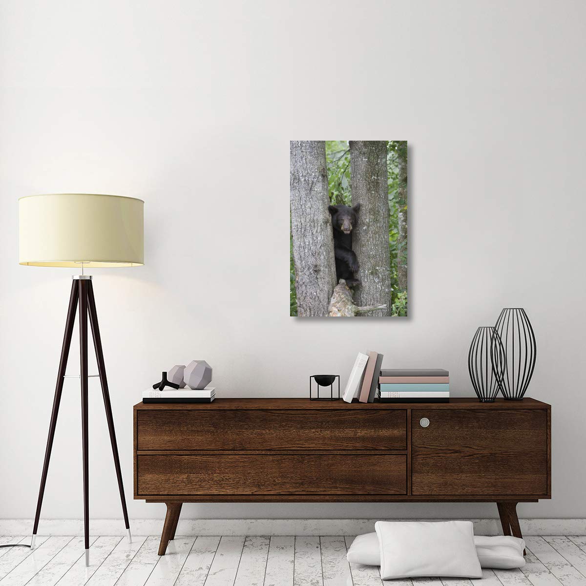 Black Bear Juvenile Male in Tree Canvas Art Print - 24x36 Inches - Minnesota Wildlife Wall Decor for Living Room, Bedroom & Office