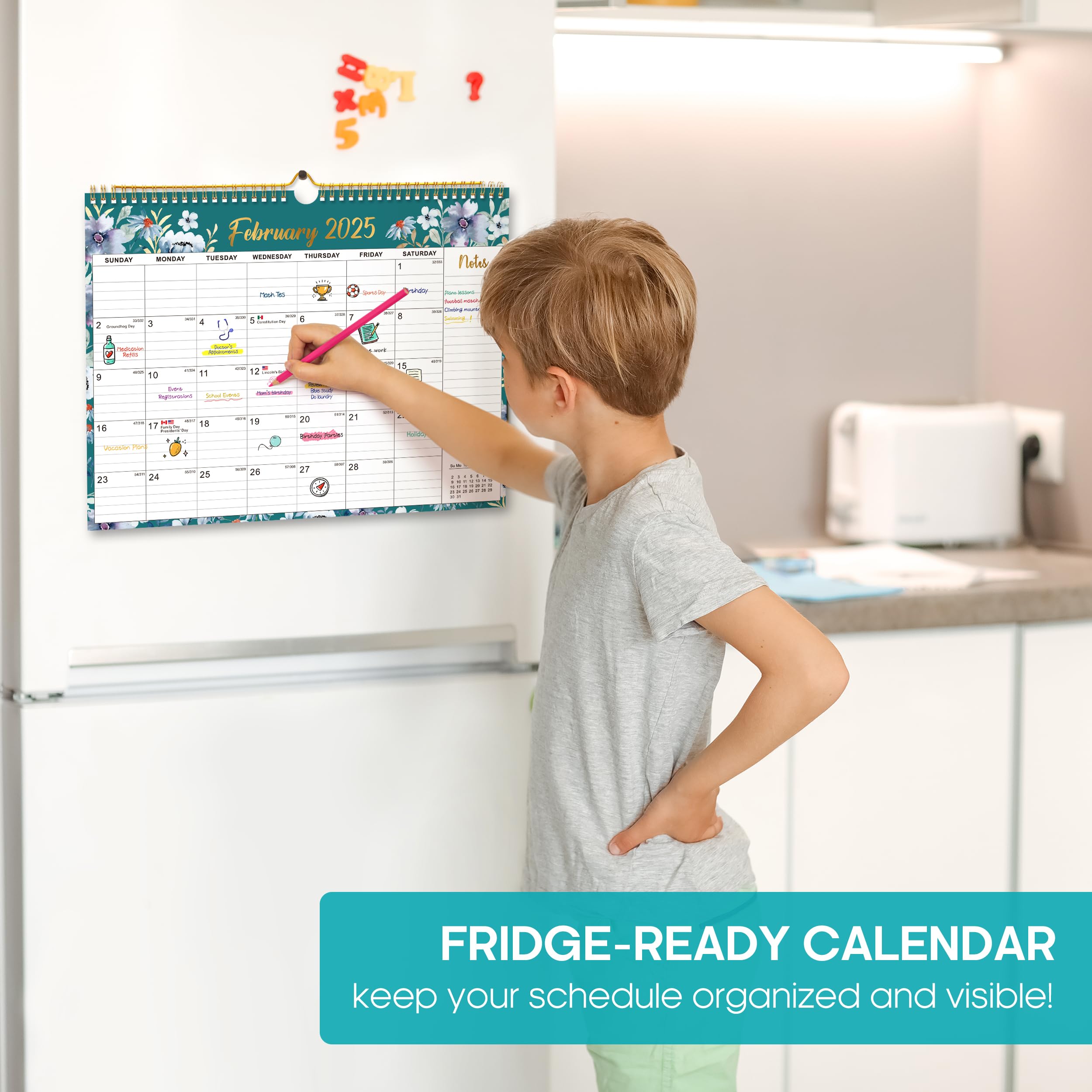 2025-2026 Monthly Wall Calendar with Spiral Binding - 18 Months (Jan 2025 to Jun 2026) - 11.5