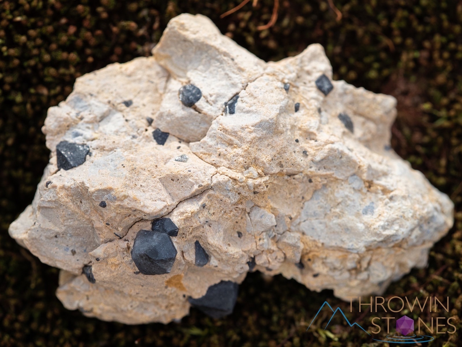 Natural Morion Smoky Quartz Raw Crystal Cluster - Healing Stone for Home Decor, Housewarming Gift & Spiritual Healing | Perfect for Meditation, Feng Shui & Positive Energy