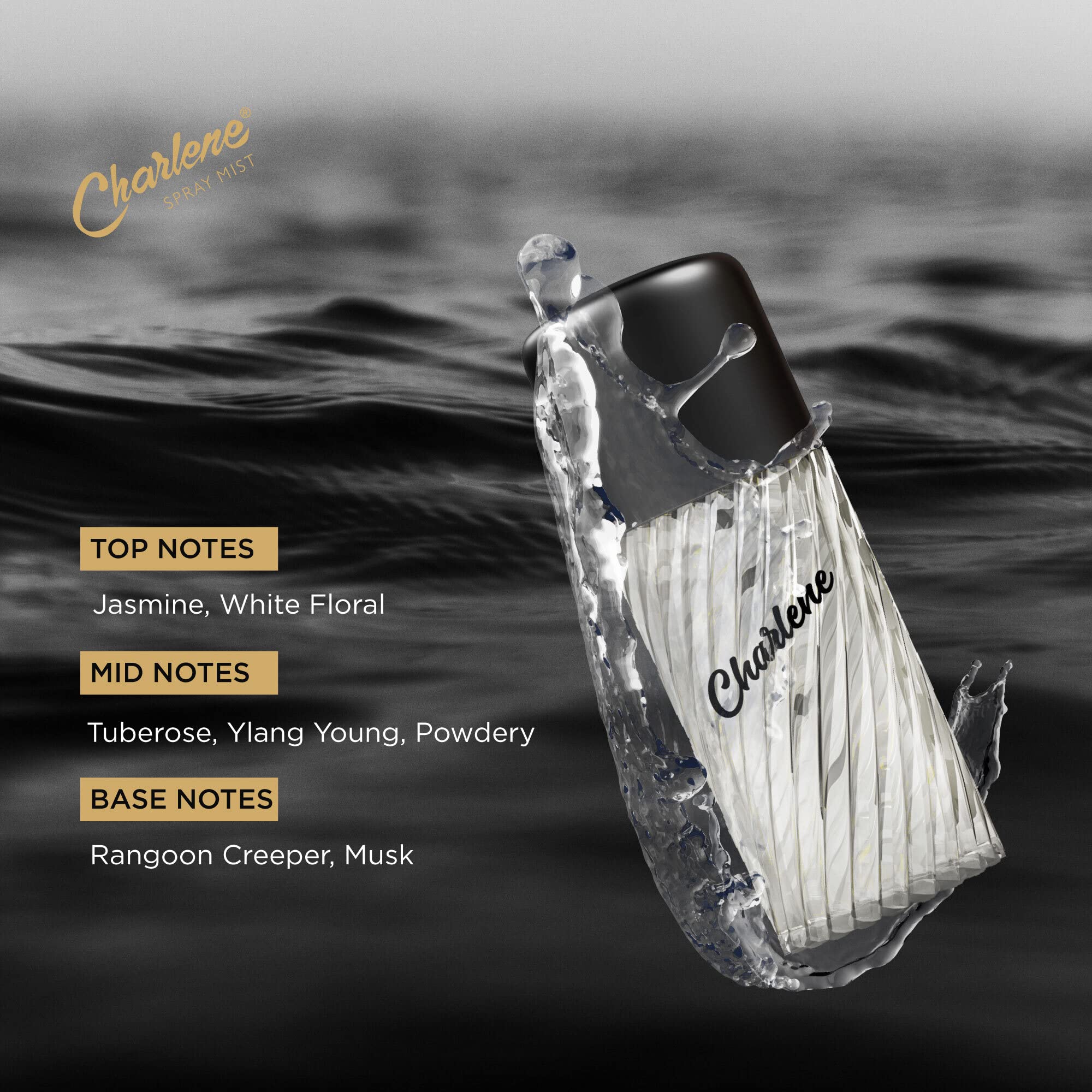 Charlene Senora Perfume for Men & Women - Long Lasting Fragrance with Deep Freshness | Premium 50ml Eau de Parfum (Pack of 3) | Luxury Everyday Cologne for Work, Date Night & Special Occasions | Aerosol Spray