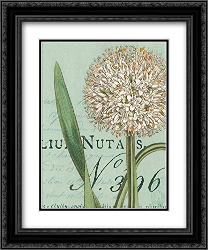 Wild Apple Portfolio 15x17 Black Ornate Framed Double Matted Museum Art Print - Botanique Bleu II Floral Painting - Perfect for Living Room, Bedroom & Office Wall Decor