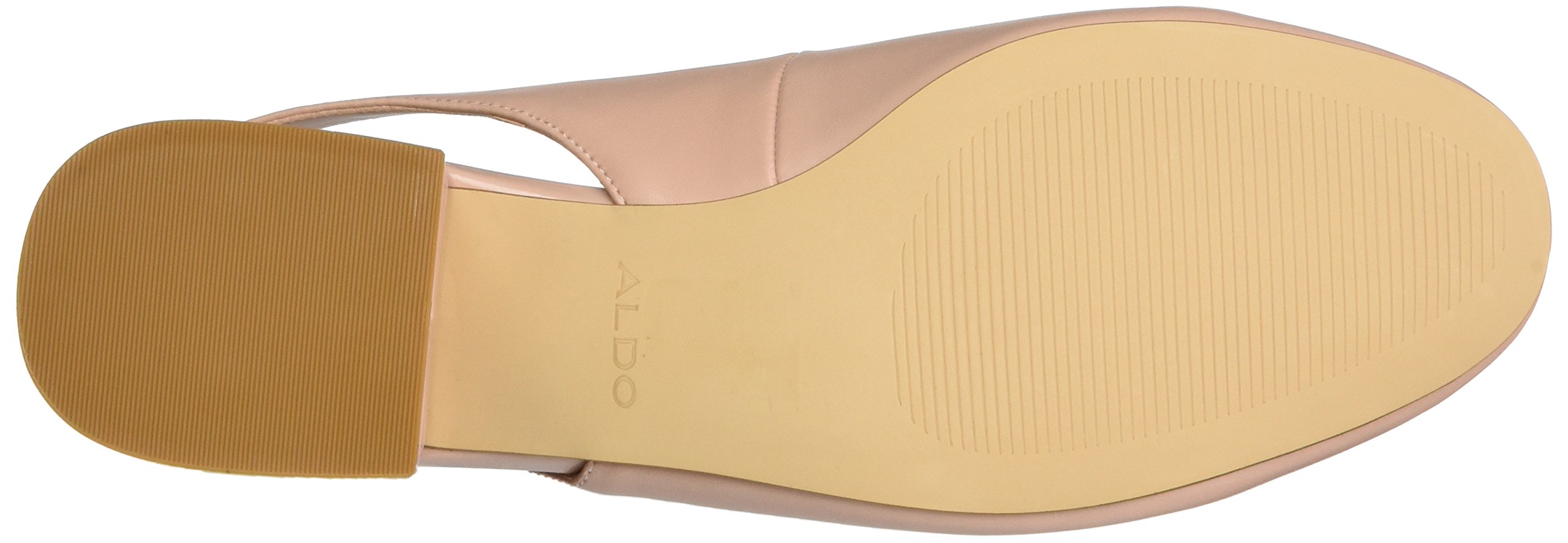 ALDO Women's Ballet Flats - Comfortable & Stylish Pointed Toe Slip On Shoes for Work, Office & Casual Wear