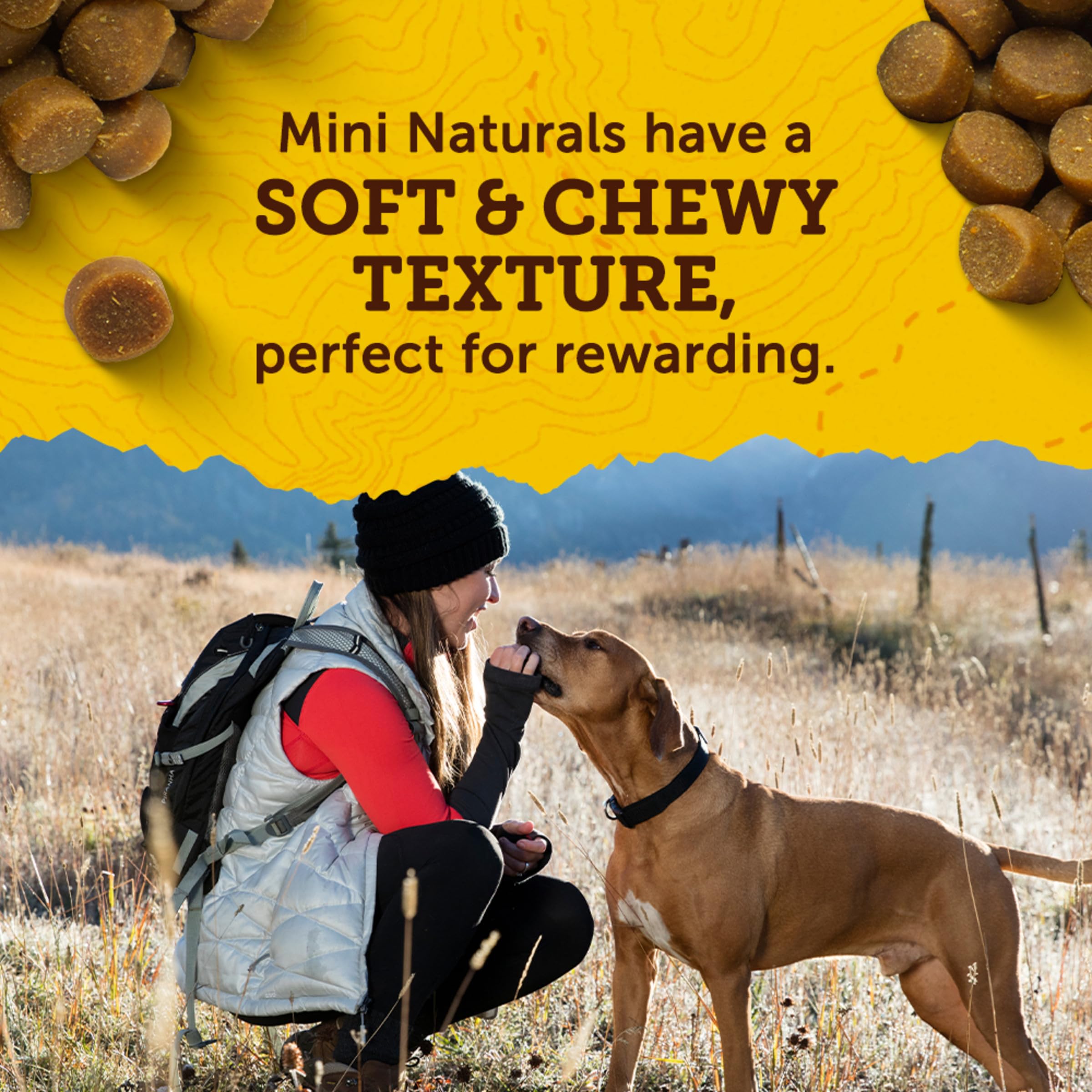 Zuke's Mini Naturals Real Pork Dog Training Treats - 6 oz Resealable Pouch | Healthy Pet Snacks for Small & Large Dogs | Perfect for Obedience Training, Rewards & Outdoor Adventures
