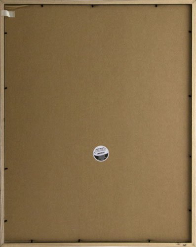 Frame USA Economy Series 22x28 Inch Black Wood Picture Frames - Perfect for Wall Decor, Photo Displays, and Home Office Artwork