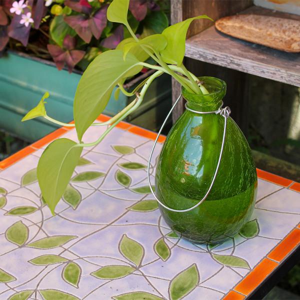 Achla Designs Rooting Vase - Clear Glass Plant Propagation Vase for Herbs, Flowers & Cuttings | Perfect for Indoor Gardening, Home Decor & Gift Giving