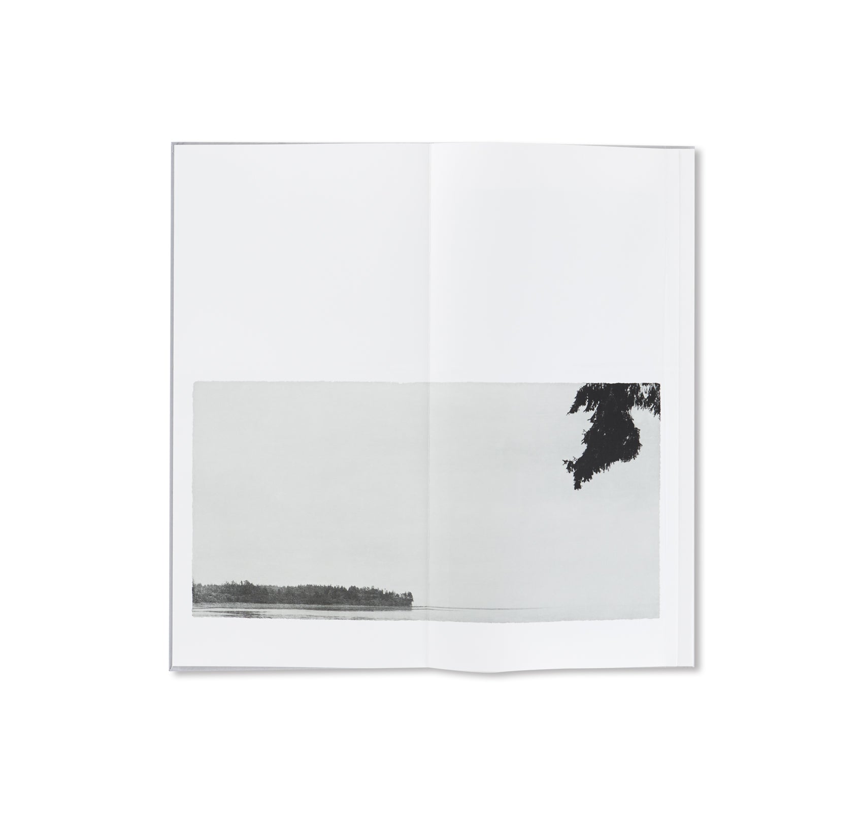 OPENING by Jungjin Lee - Stunning Art Book for Home Decor, Office Display & Gift Ideas | Explore Contemporary Photography & Unique Aesthetic
