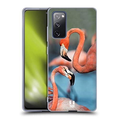 Two Great Flamingos