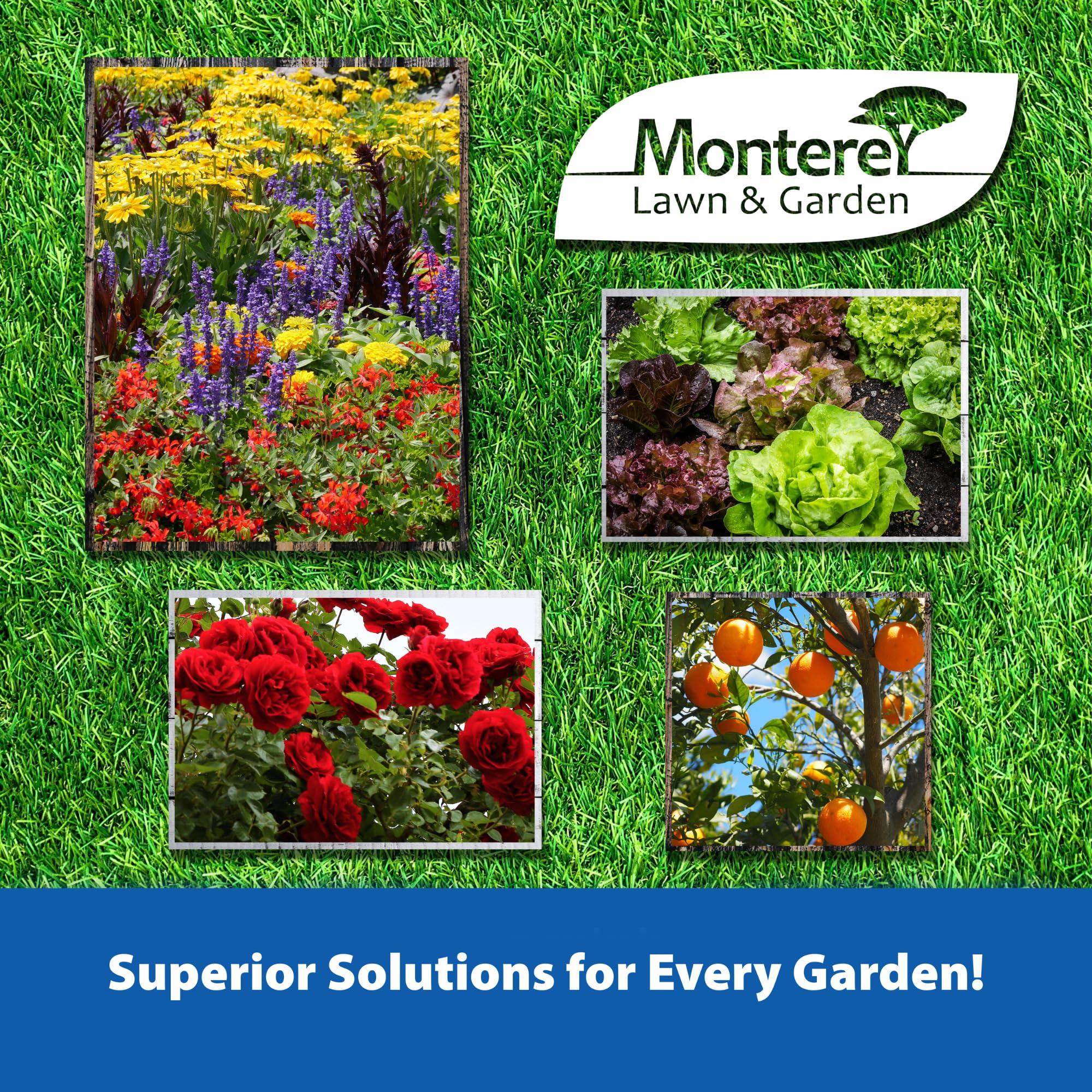 Organic Monterey Garden Spinosad Insecticide Spray Concentrate - 1 Gallon for Foliage Feeding Worm Control - Safe for Organic Gardening - Use with Sprayer for Vegetables, Fruits & Ornamental Plants