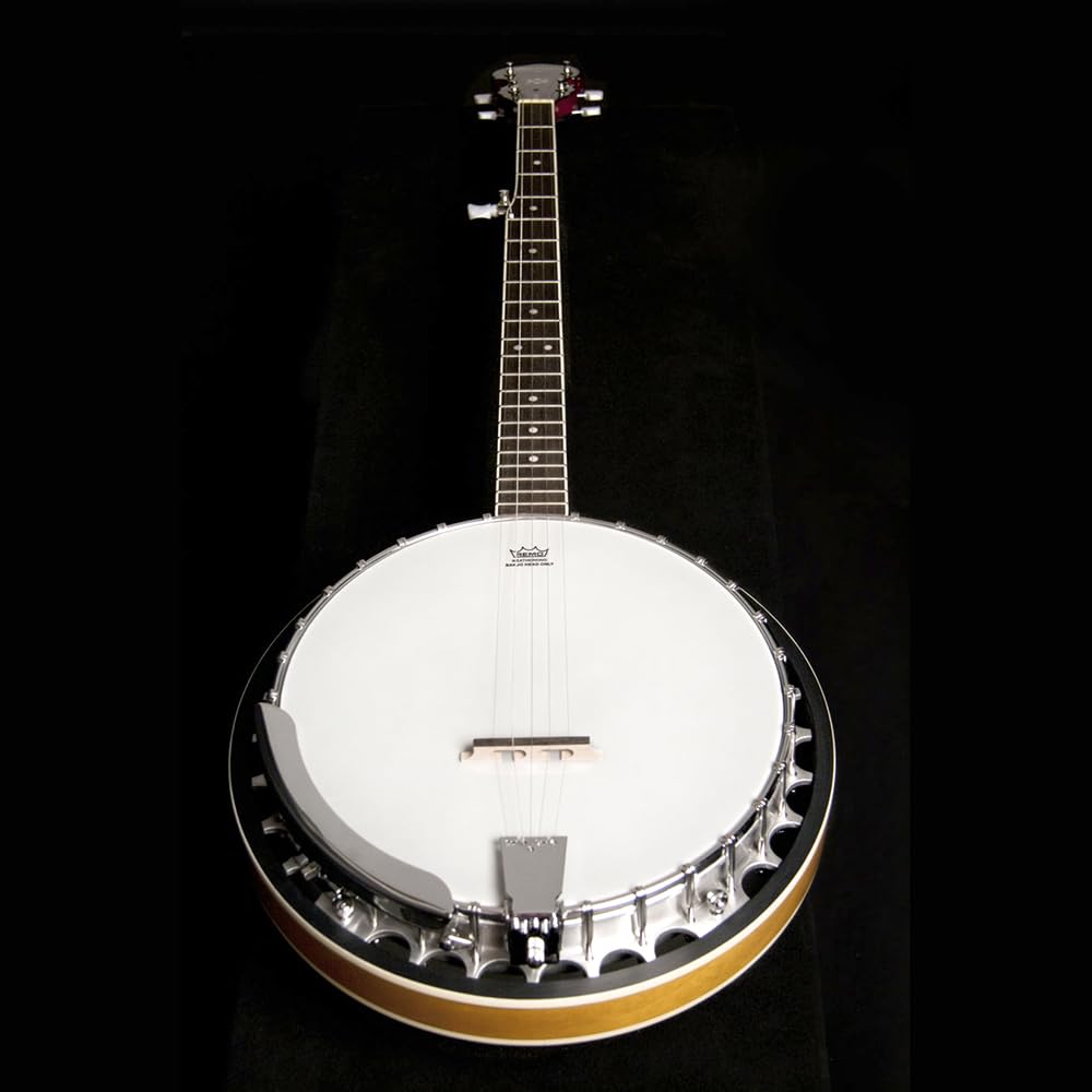 Washburn Americana Series B9-WSH-A 5 String Banjo Natural - Professional Bluegrass & Folk Banjo for Beginners & Musicians - Perfect for Live Performances, Studio Recording & Jam Sessions