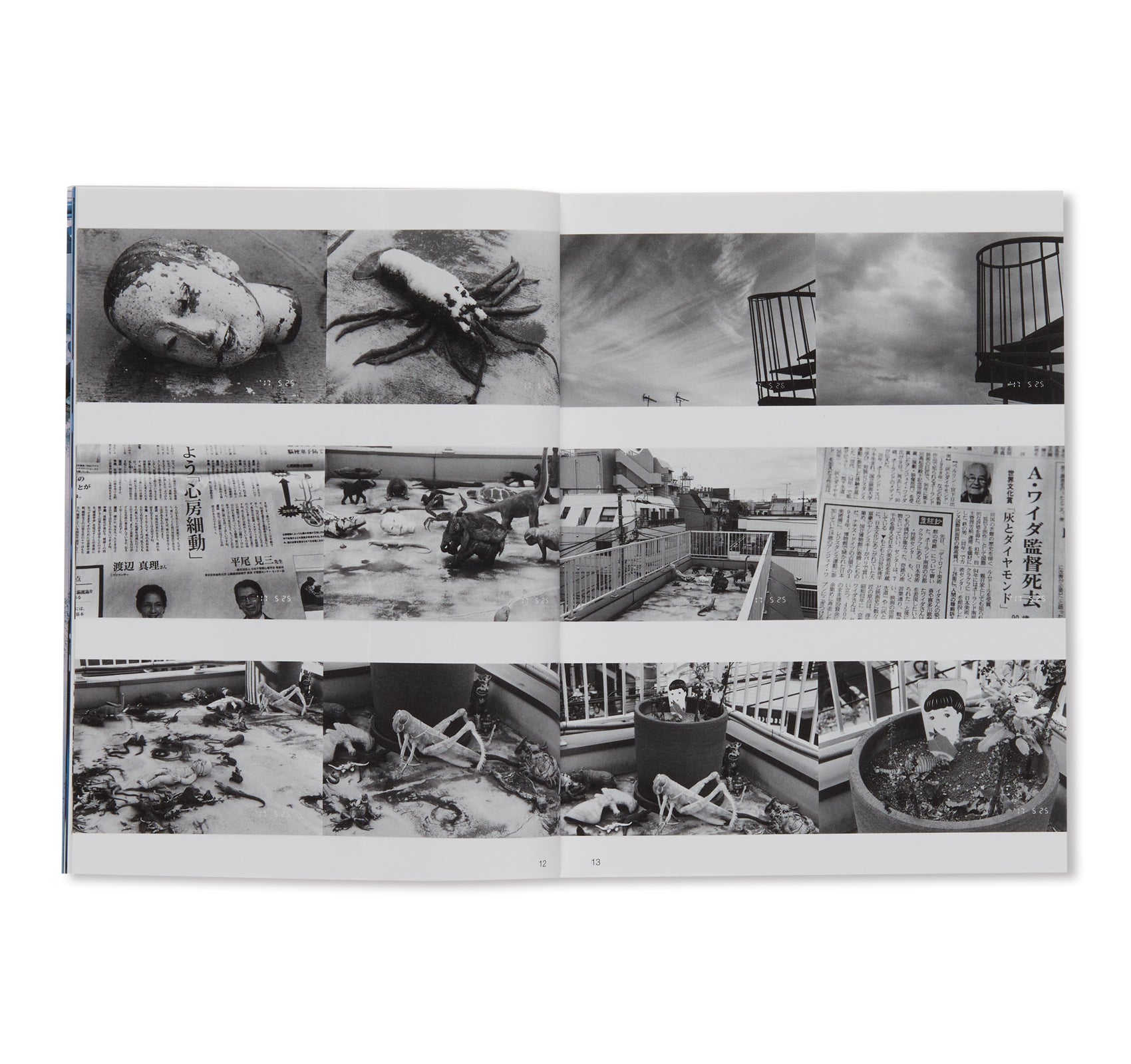 Nobuyoshi Araki Photo Book: 'Photo Mad Old Man Turning 77 on 5.25.17' - Limited Edition Photography Collection for Art Lovers & Collectors - Perfect for Home Decor, Gallery Displays & Photography Enthusiasts
