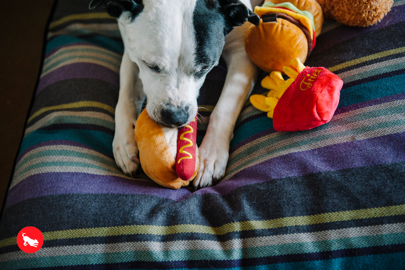 American Classic® Hot Dog Plush Dog Toy by Pet P.L.A.Y. - Durable Chew Toy for Small & Large Dogs - Perfect for Fetch, Tug-of-War & Cuddling