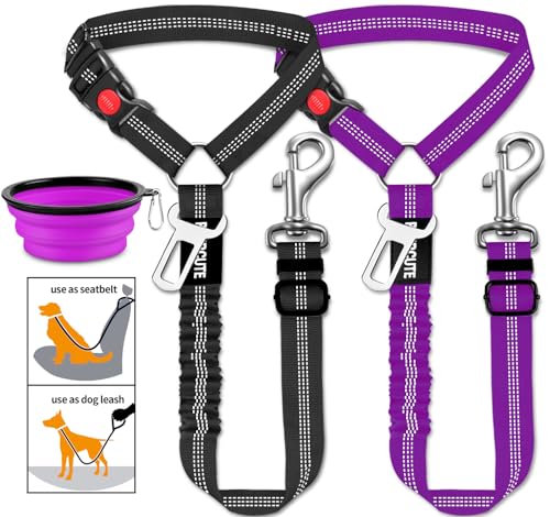08-Black+Purple
