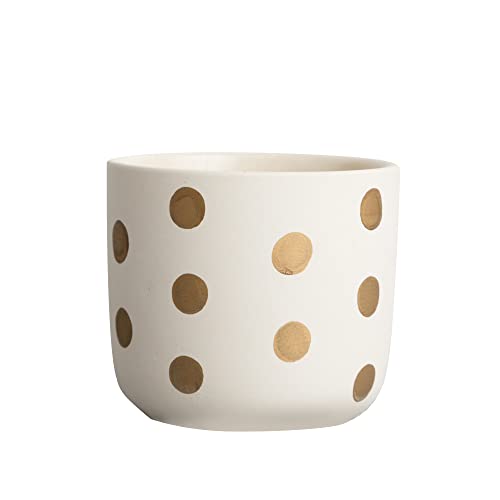 Polka Dot Curved Bottom