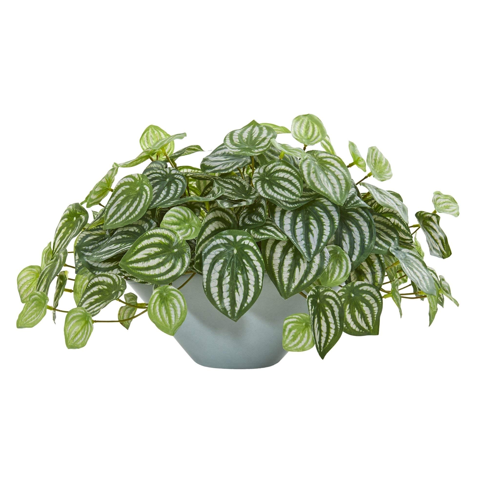 Real Touch Artificial Green Watermelon Peperomia Plant - 19-inch Botanical Floral Decor with Ceramic Pot | Perfect for Home Office Decor, Wedding Centerpieces & Indoor Greenery