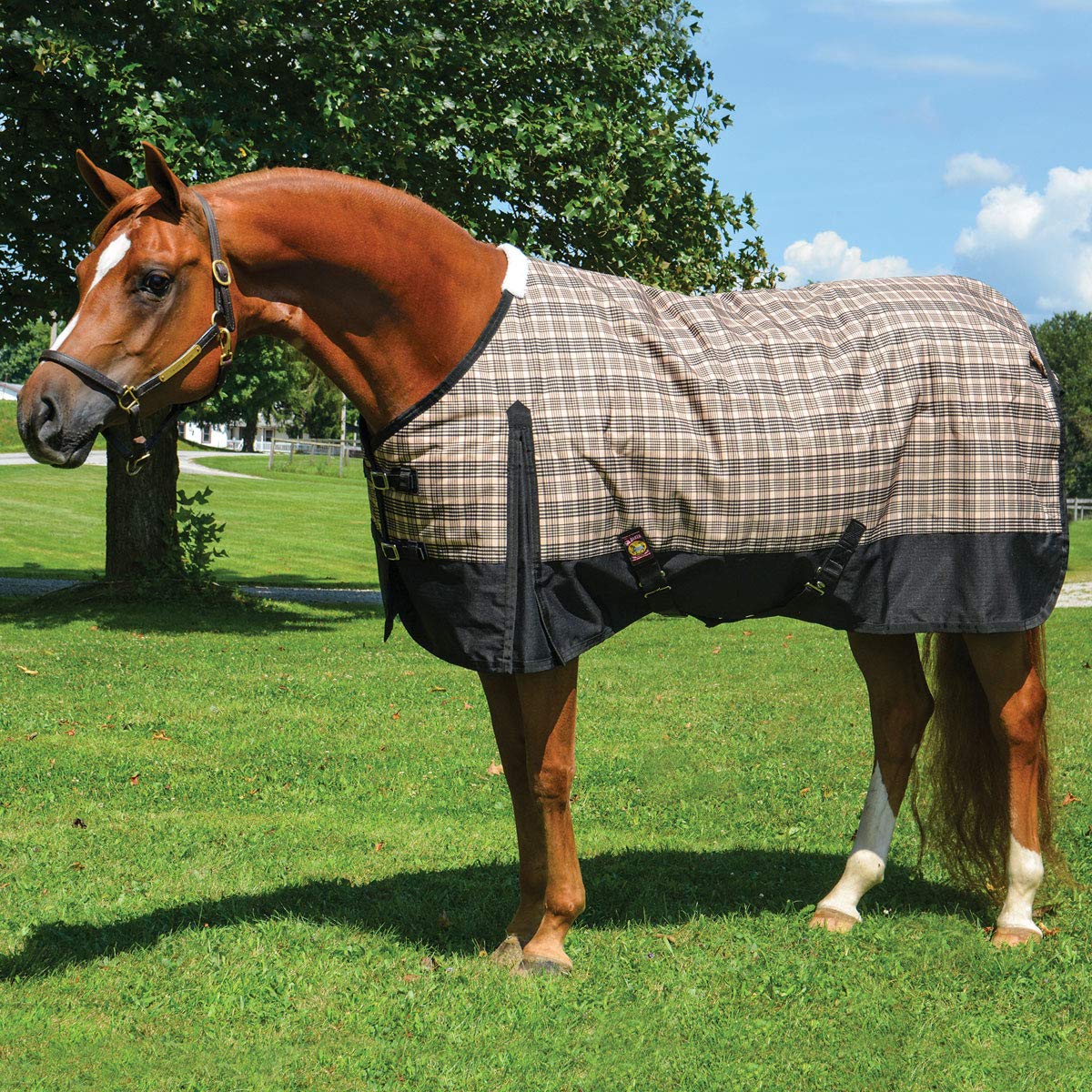 Heavyweight Turnout Blanket for Horses - Black Label 80 Plaid - Waterproof & Durable Winter Horse Blanket for Stable & Pasture Use