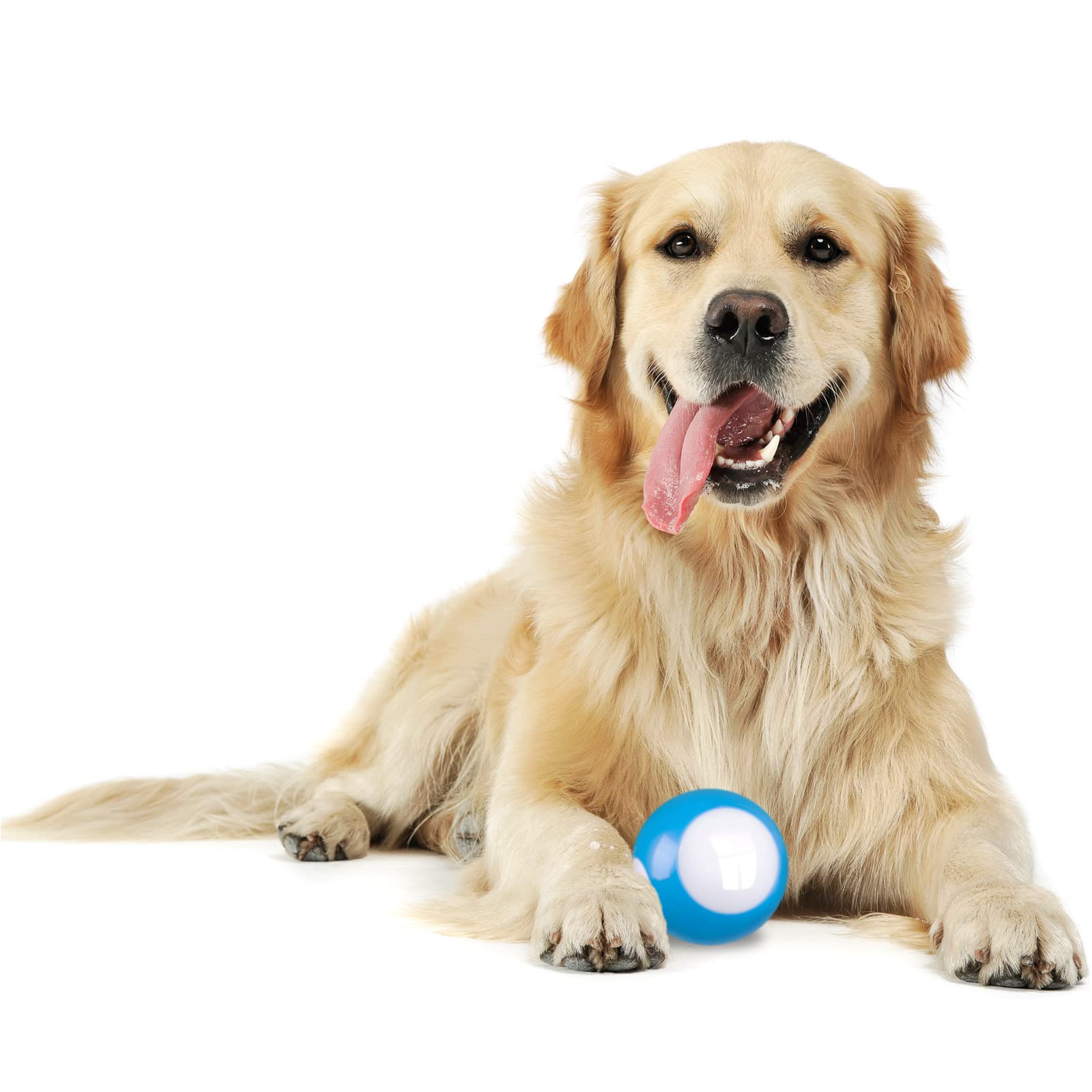 EZFUN Interactive Dog Ball Toy - USB Rechargeable Automatic Moving & Rotating Pet Toy for Large & Small Dogs - LED Light Up Indestructible Chew Ball for Mental & Physical Exercise - Perfect for Indoor Play, Backyard Fun & Training Sessions (Light Blue)