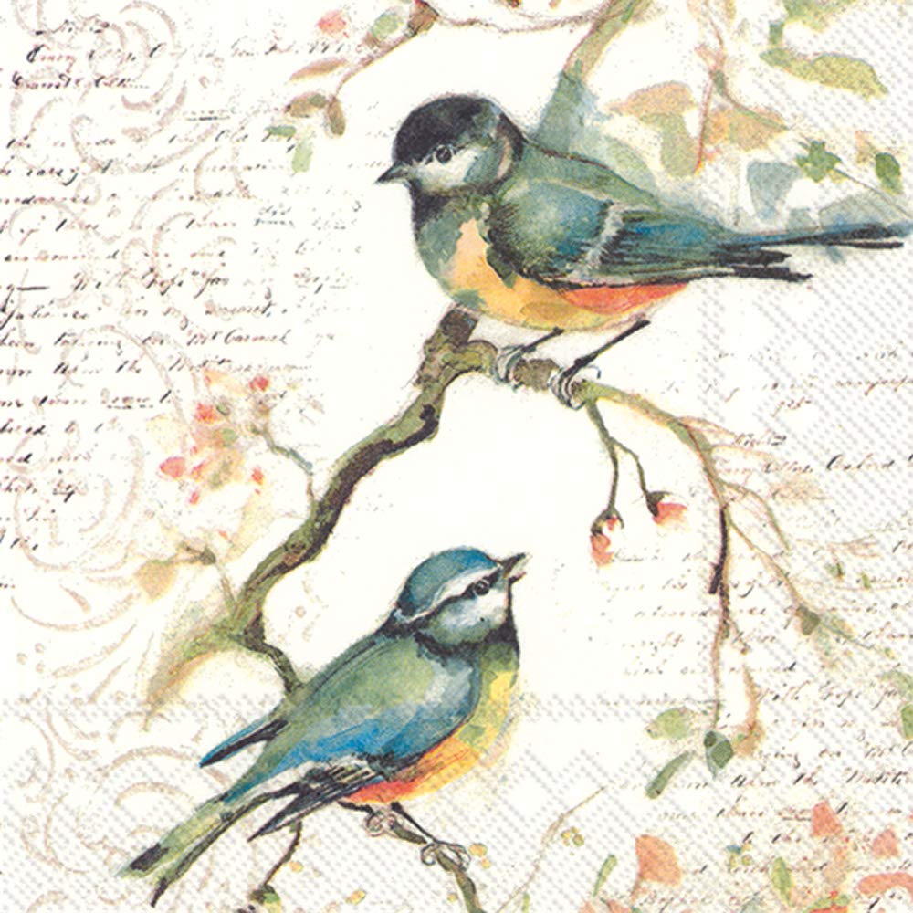 Boston International C811100 Cocktail Beverage Paper Napkins, 5 x 5 Inches, Happy Little Titmice Design - Perfect for Parties, Weddings, and Home Entertaining