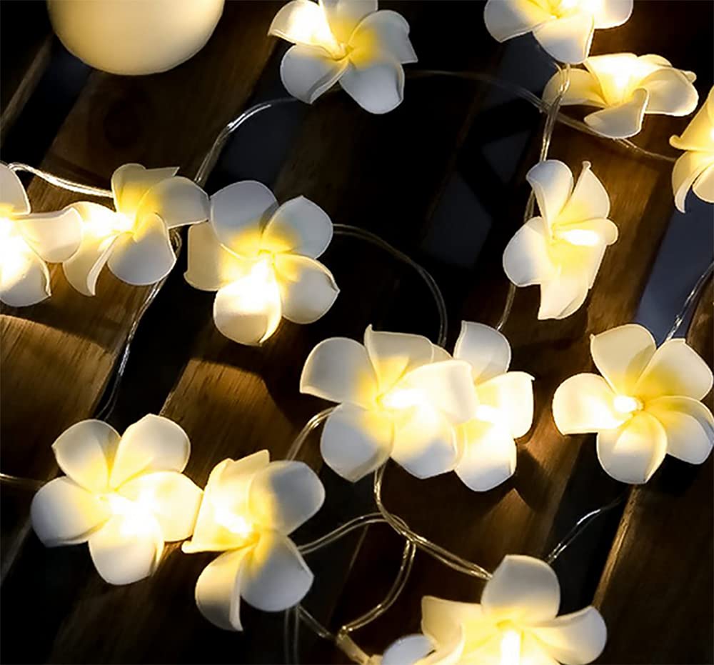 20 LED Artificial Frangipani String Lights - USB Powered Plumeria Flower Fairy Lights for Christmas, Party, Home, Wedding & Beach Decor (White, 1 Pack) | Indoor & Outdoor Decorative Lighting for Garden, Patio, Bedroom and Special Events