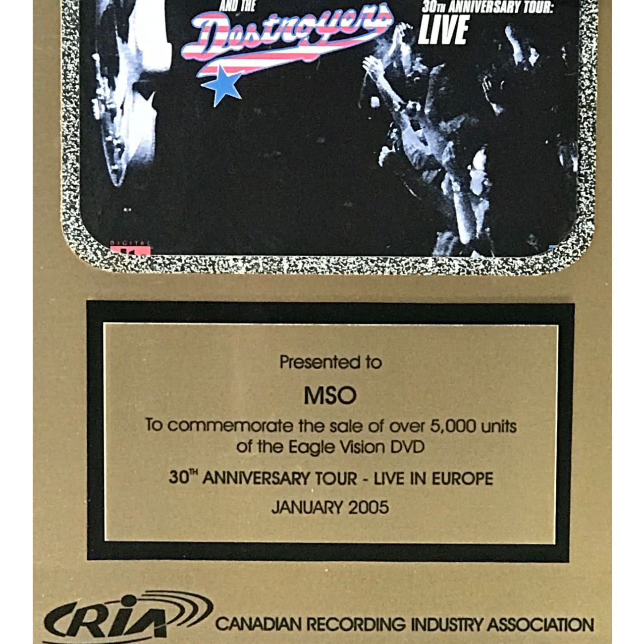 George Thorogood & The Destroyers Live in Europe Concert DVD - CRIA Gold Video Award Winner | Rock Music Performance for Home Entertainment & Gifts