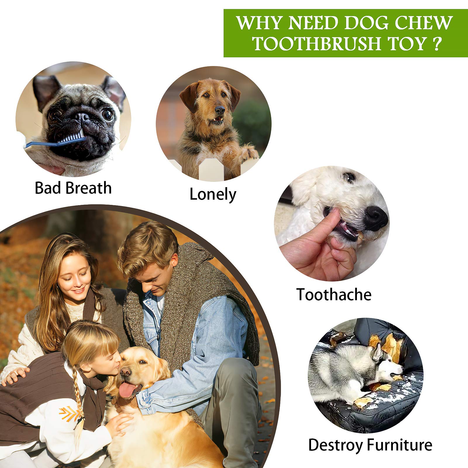 Natural Rubber Dog Chew Toy for Large & Medium Breeds - Super Durable Interactive Squeaky Toy for Aggressive Chewers, Dog Toothbrush & Birthday Gift (Green, Large) - Perfect for Playtime, Training & Dental Health