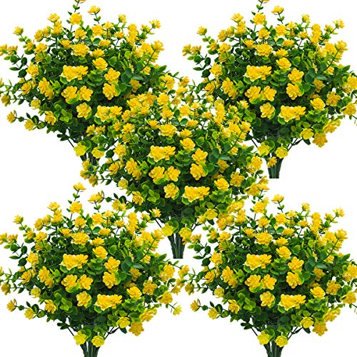 Yellow-eucalyptus