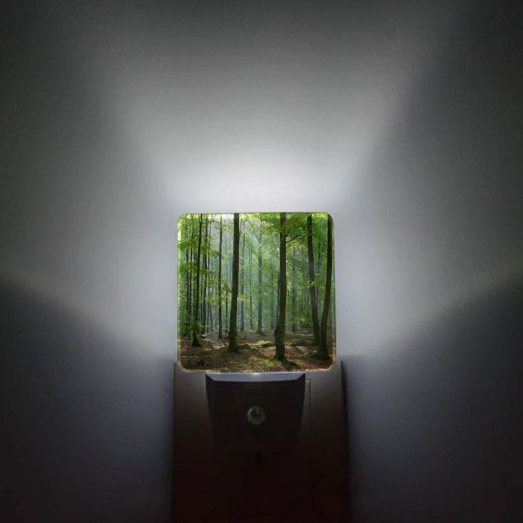 **LED Night Light Plug in with Auto Sensor - Spring Green Leaves Tree Design, Square Wall Light for Bedroom, Kids, Adults - Perfect for Nurseries, Hallways & Bathrooms**