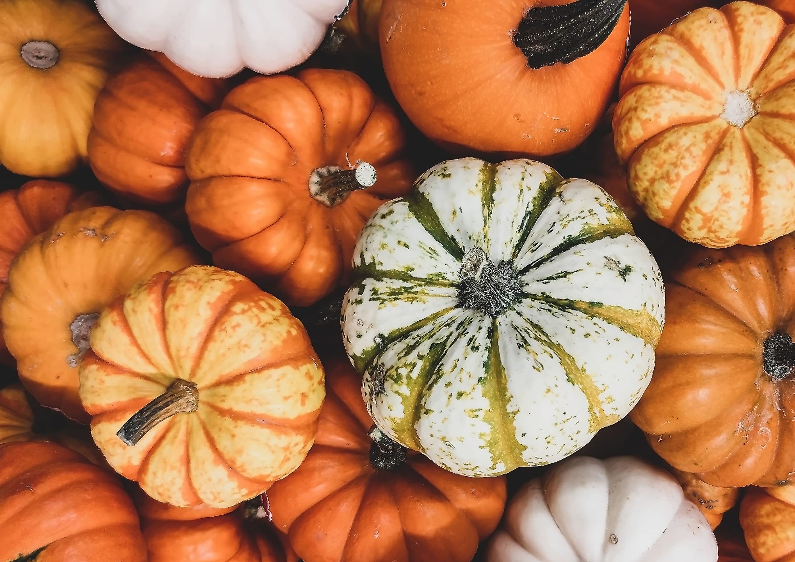 Organic Raw Pumpkin Seeds (Pepitas) - Shell-Free, 8 Pounds - Healthy Snack, Salad Topping & Baking Ingredient for Smoothies, Granola & More