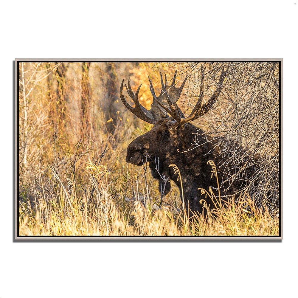 Black Antler Moose Framed Wall Art - Rustic Landscape Giclee Print for Living Room, Bedroom & Farmhouse Decor - Perfect for Cabin, Lodge & Hunting Theme Interior Design