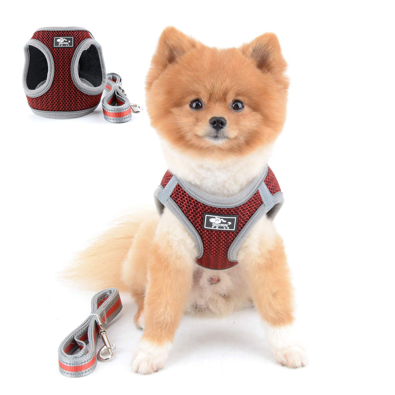 SELMAI Reflective Cat Harness and Leash Set - Escape Proof No Pull Adjustable Soft Mesh Vest for Small Dogs, Kittens, Puppies & Chihuahuas (Red, XL, 1.5m) - Perfect for Night Walks, Pet Training & Outdoor Adventures