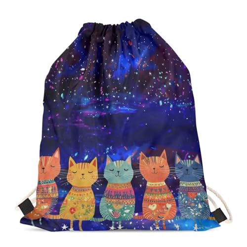 Cat Starry Sky