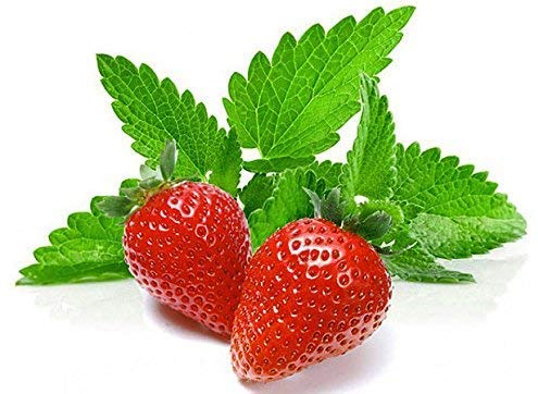 100 Strawberry Mint Herb Seeds - Non-GMO, Fragrant & Rare Mentha piperita - Grown in USA | Perfect for Tea, Cocktails, and Home Gardening