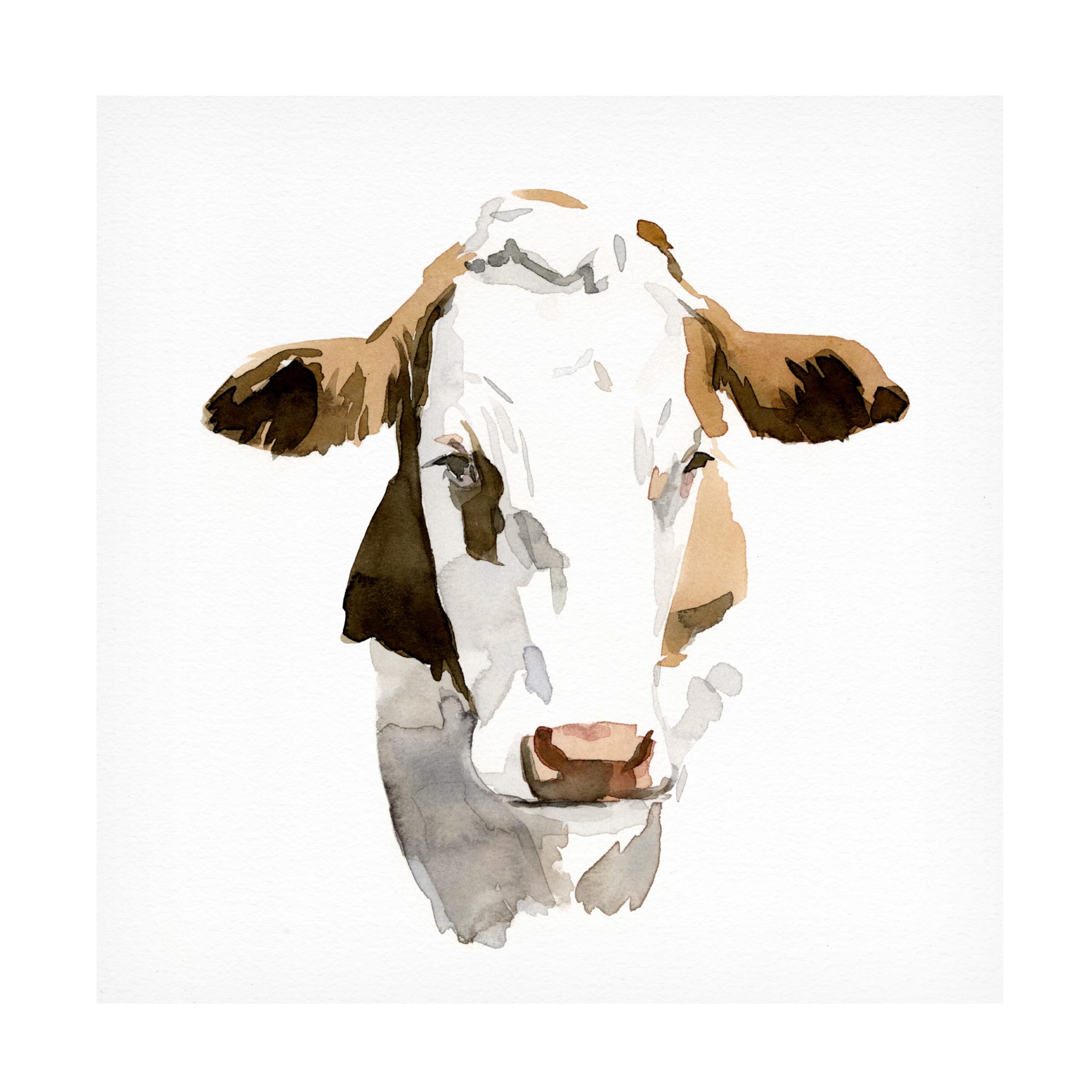 Emma Caroline 'Watercolor Bovine I' 35x35 Inch Canvas Wall Art - Modern Farmhouse Decor for Living Room, Bedroom & Office