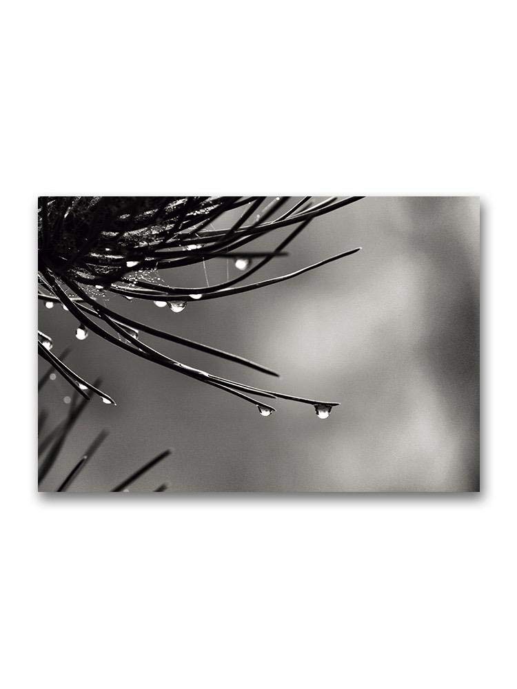 Wet Pine Needles Nature Poster - Wall Art Decor for Living Room, Bedroom & Office - Forest Landscape Photography Print