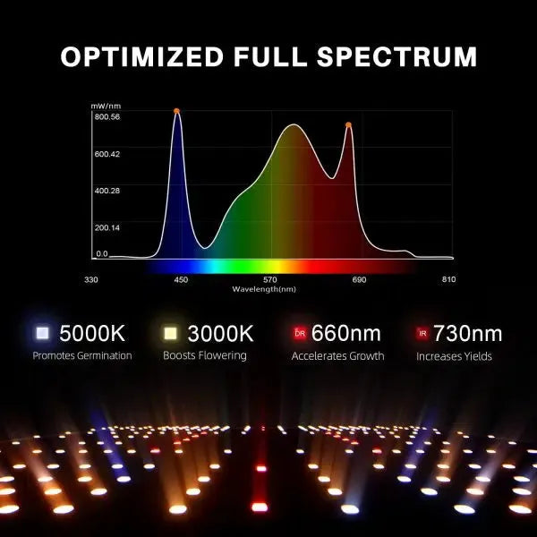 Spider Farmer SF2000 EVO Dimmable Full Spectrum LED Grow Light for Indoor Plants - 200W High Efficiency Plant Growing Lamp for Hydroponics, Greenhouse & Home Gardening