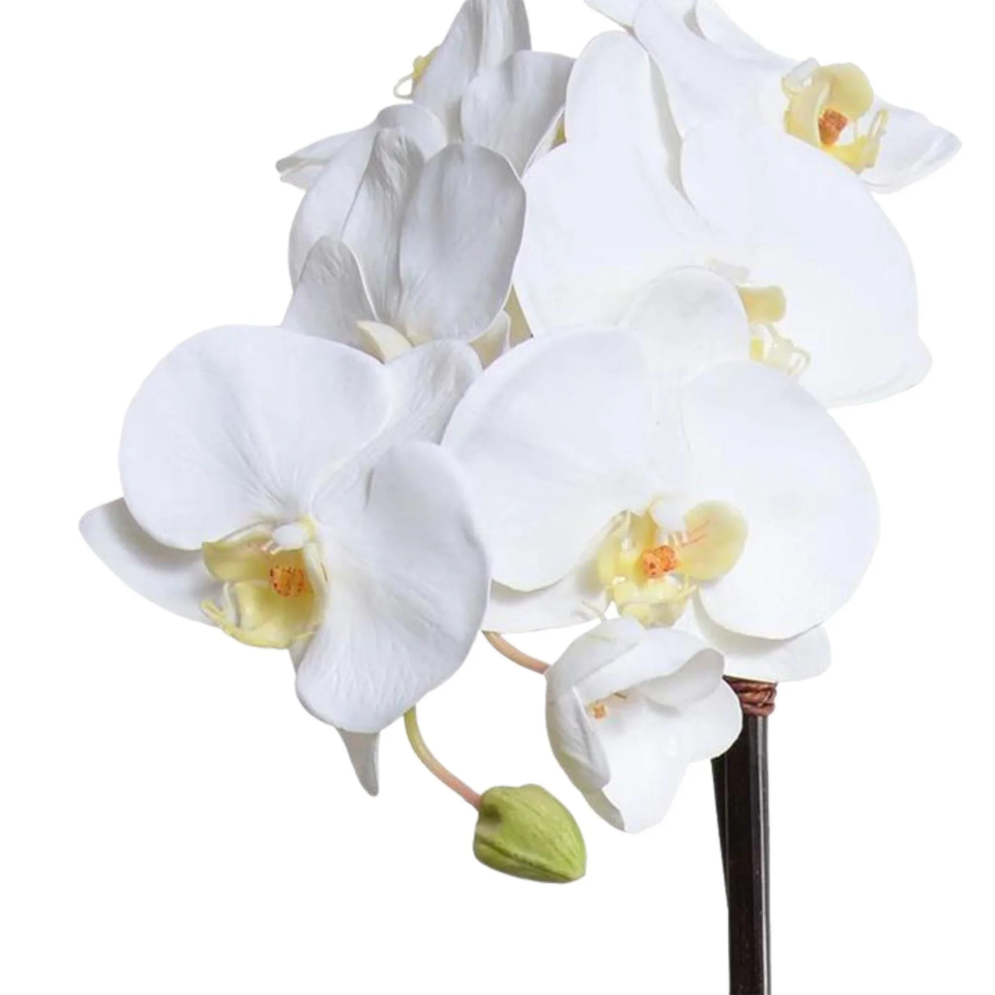 28 Faux Phalaenopsis Orchids in White Ceramic Bowl - Artificial Silk Orchid Flowers for Home Decor, Wedding Centerpieces & Office Table Decorations