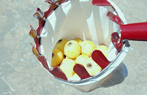 Premium Fruit Picker Set - Durable Gardening Tool for Harvesting Apples, Pears & Peaches | Extendable Reach (Pole Not Included) | Random Colors (White/Red/Orange) | Perfect for Orchard Harvesting, Home Gardening & Farm Use