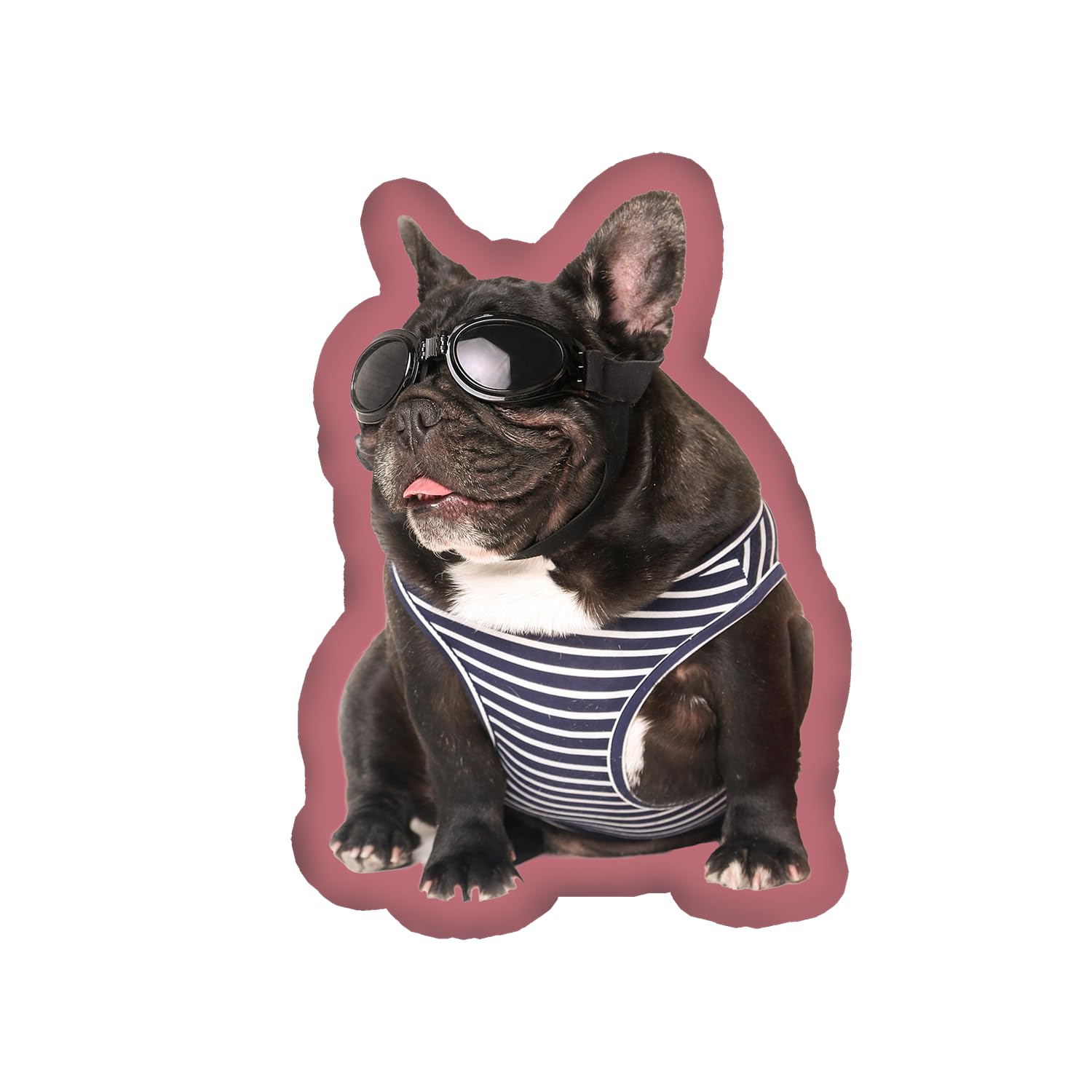 Custom Pet Pillow with Photo - Personalized Dog & Cat Pillow for Mother's Day, Graduation Gifts (12inch) - Home Decor & Unique Present