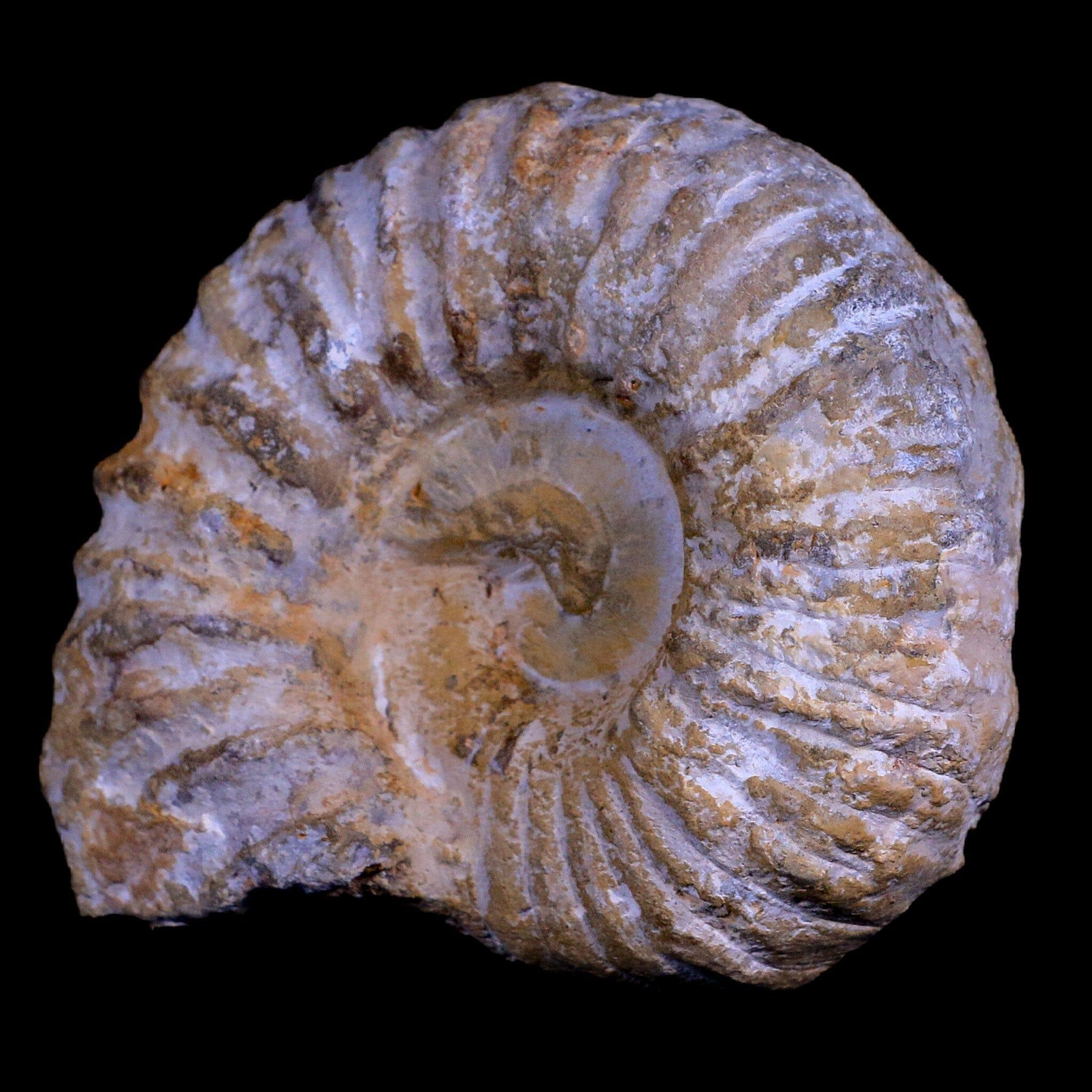 3.6