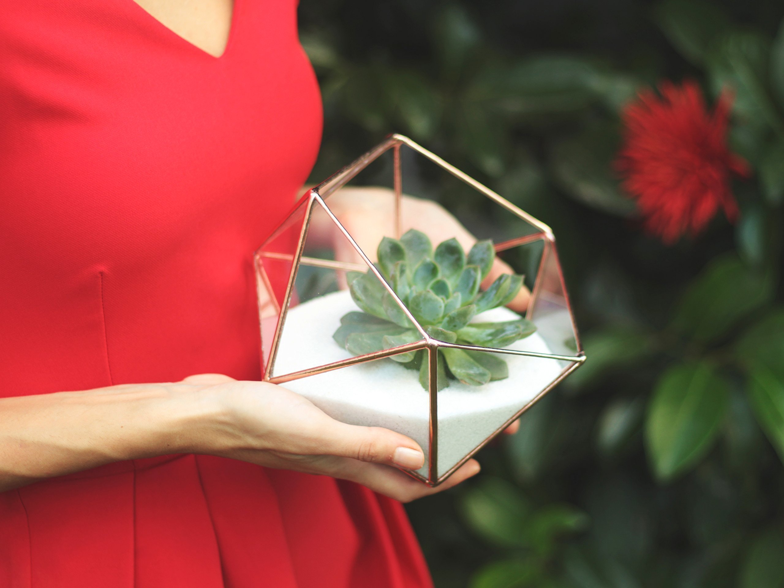 Clear Glass Geometric Terrarium Container - Modern Icosahedron Planter for Succulents & Air Plants | Home & Living Room Decor | Wedding Table Centerpiece & Reception Decor (Copper, Silver, Black) | Perfect for Indoor Plant Display, Office Desk Decor, and Gift Giving