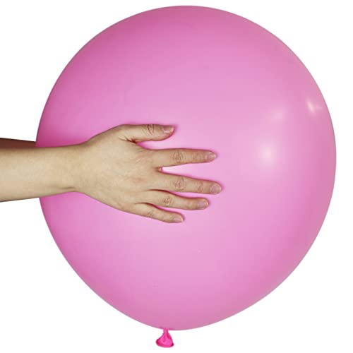 Pink Balloons 18 Inch