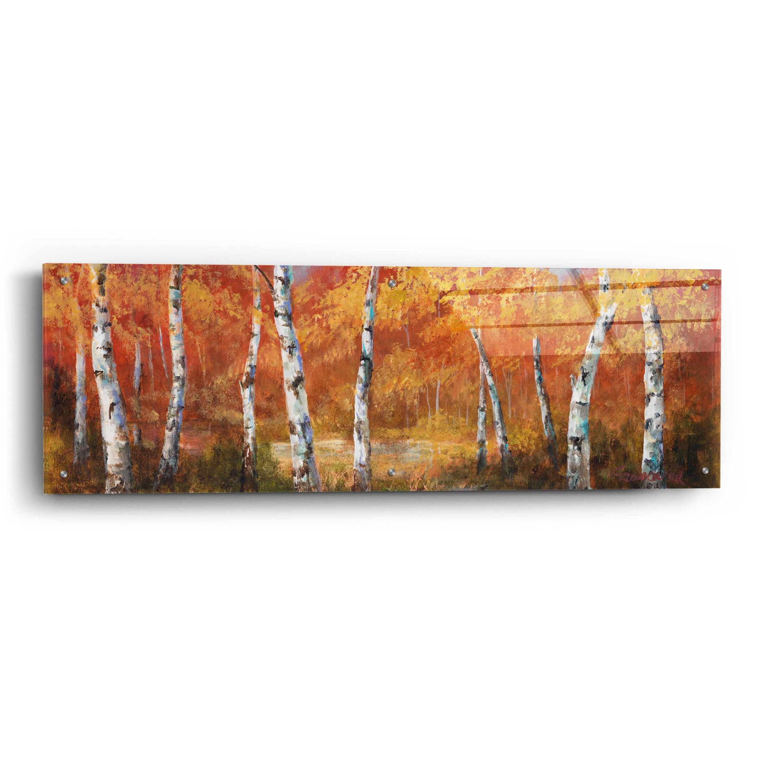 Epic Art 'Autumn Birch I' by Art Fronckowiak - 48x16 Inch Acrylic Glass Wall Art Painting - Modern Home Decor for Living Room, Bedroom & Office