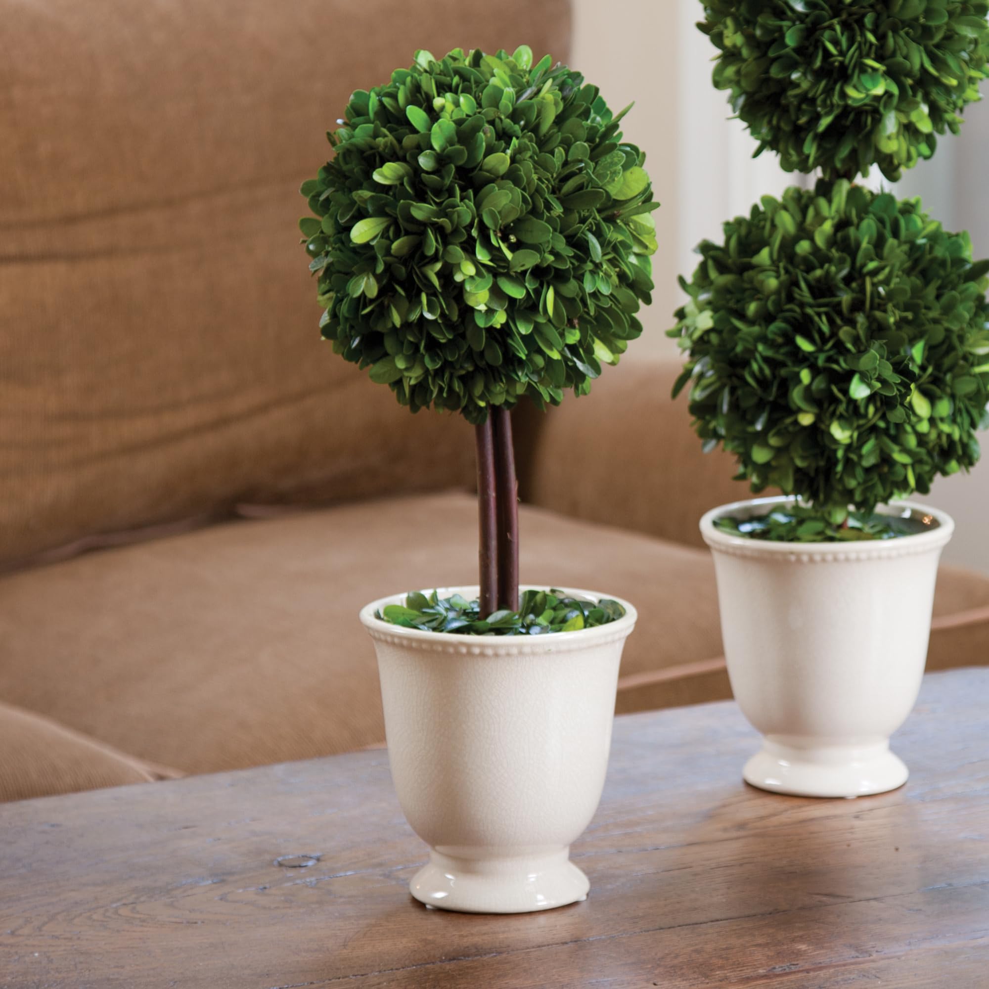 Elegant Napa PG Topiary Artificial Plant in Beaded White Pot - 7x7x16 Inches Home Decor for Living Room, Office & Wedding Centerpiece