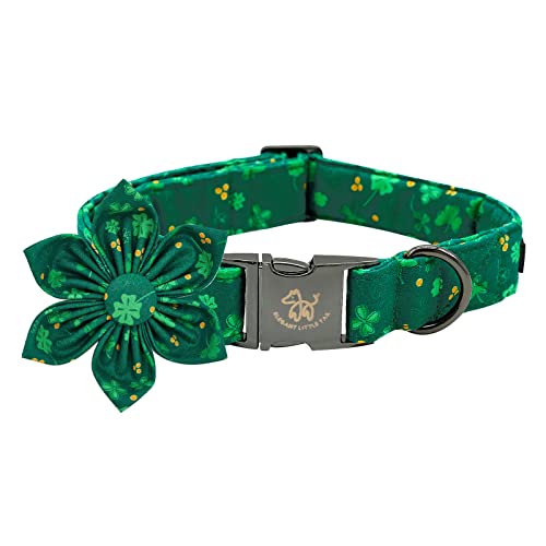 B: Lucky Clover