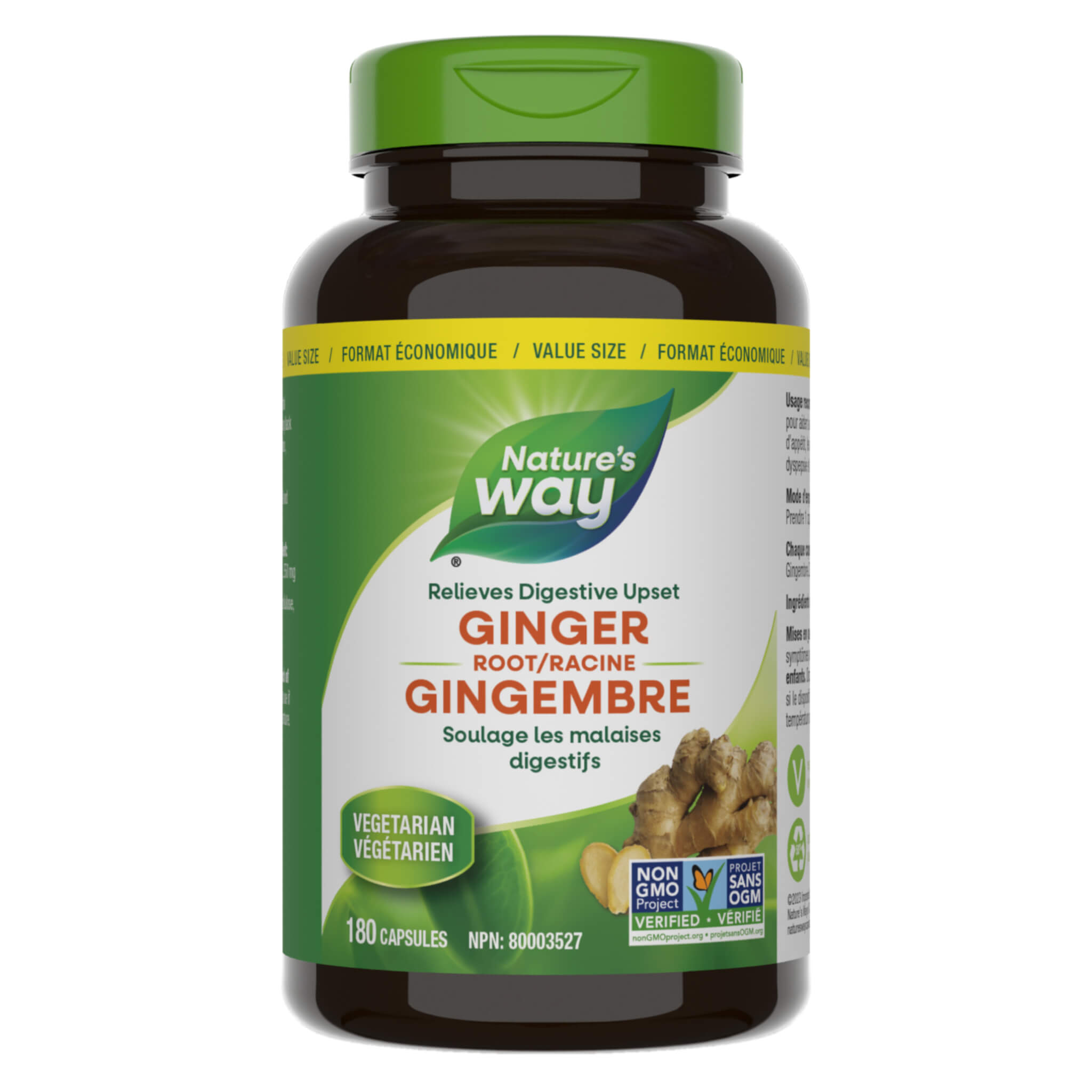 Fresh Organic Ginger Root for Cooking, Tea & Wellness - Natural Immune Booster & Digestive Aid - Perfect for Asian Cuisine, Smoothies & Home Remedies