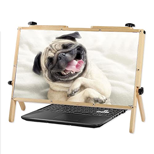 WSZGR 3X Magnifying Screen for Laptop & Phone - Adjustable Angle Folding Projector with Ultra-Clear Blu-Ray Display | Perfect for Office Work, Online Classes & Entertainment