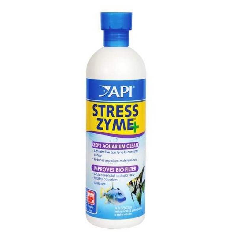 API Stress Zyme Bacterial Cleaner for Ponds & Aquariums - Beneficial Bacteria Water Treatment, Removes Sludge & Improves Water Clarity - Ideal for Fish Tanks, Koi Ponds & Water Features