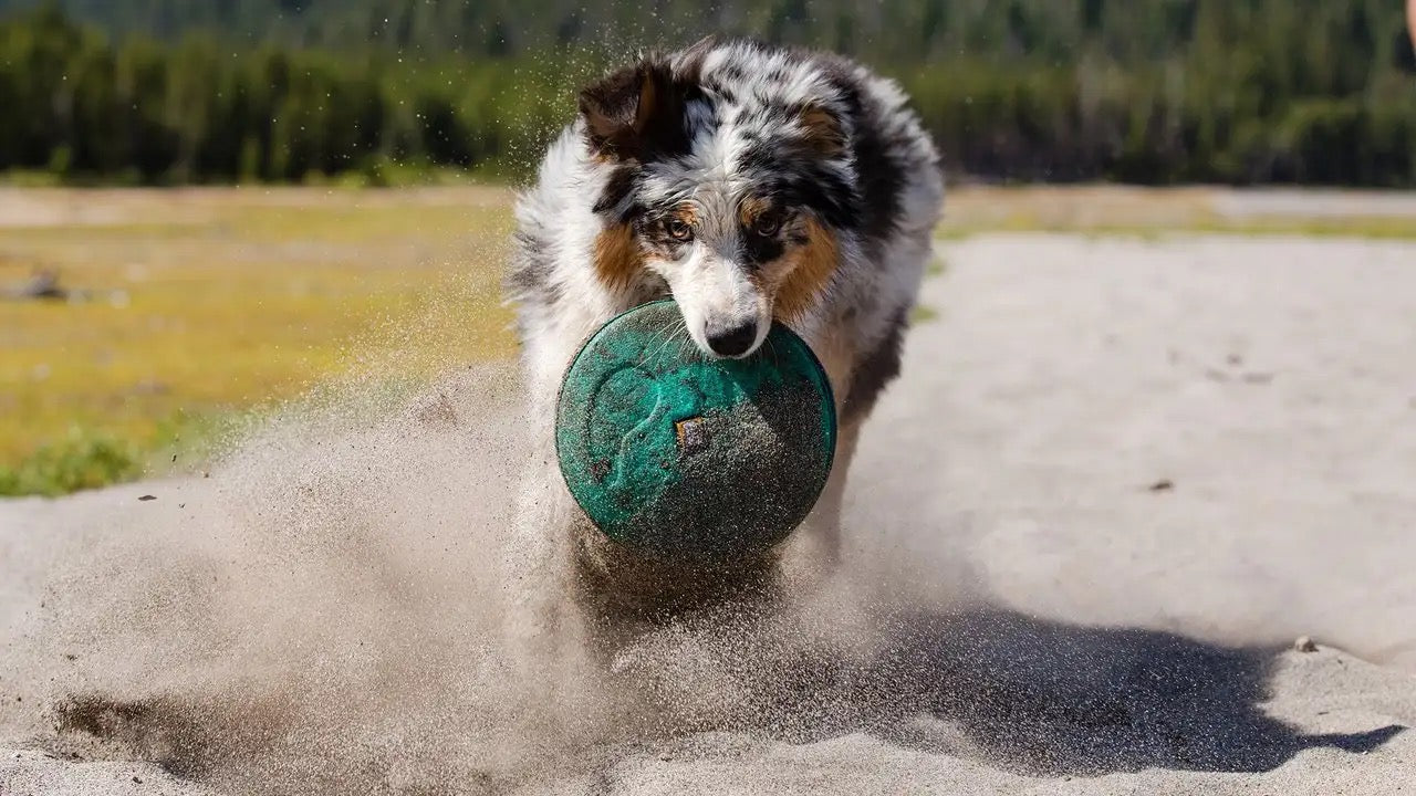 Ruffwear® Hover Craft™ Dog Disco Toy in Aurora Teal Green - Interactive Fetch & Water Play for Active Dogs
